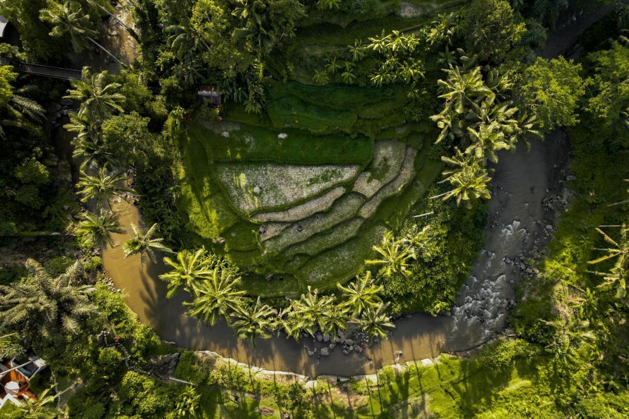 The Ridge Bali Βίλα Ουμπούντ Εξωτερικό φωτογραφία